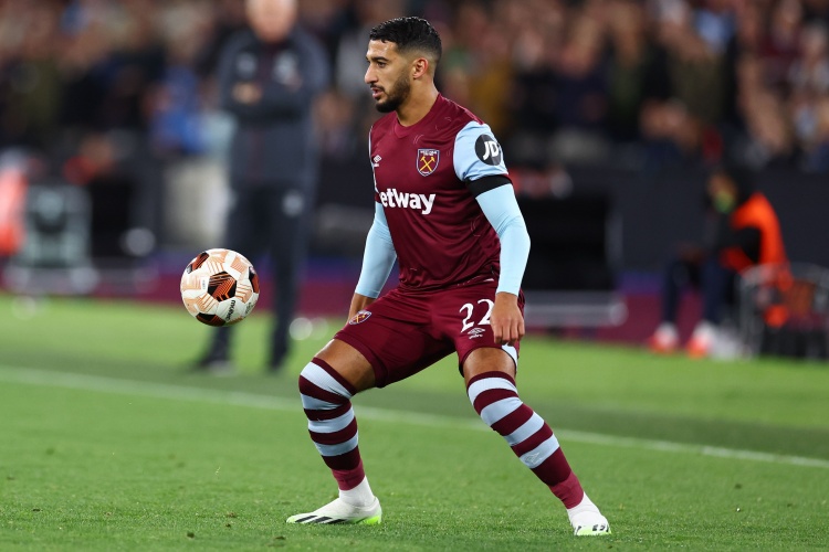 一只金毛犬 一只金毛犬