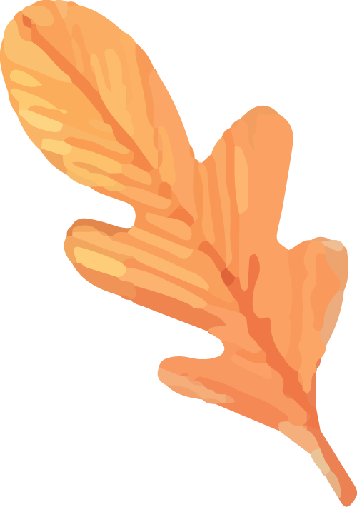 paddi, om, 年中国轮滑 paddi, om, 年中国轮滑